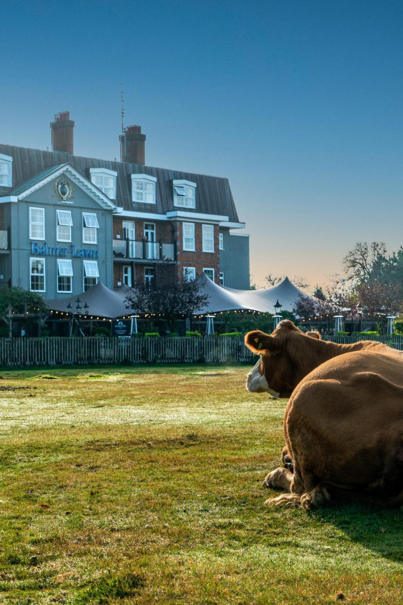 Balmer Lawn Brockenhurst Exterior foto
